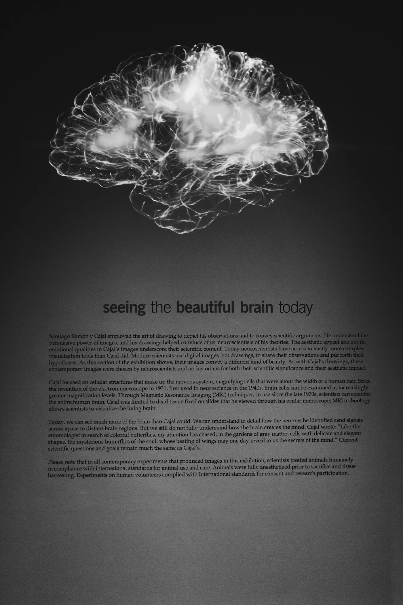 Illustration for “Understanding Mental Contrasting and Its Role in Achieving Goals”