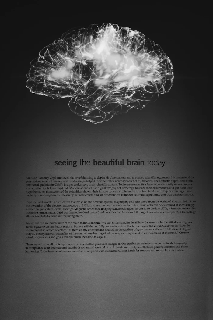 Illustration for “Understanding Mental Contrasting and Its Role in Achieving Goals”